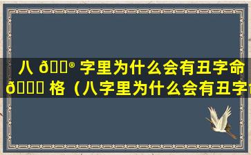 八 💮 字里为什么会有丑字命 🐟 格（八字里为什么会有丑字命格的人）